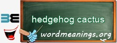 WordMeaning blackboard for hedgehog cactus